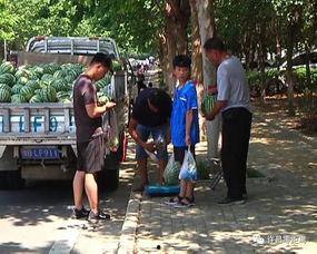 光华路吃瓜群众,吃瓜群众的欢乐盛宴