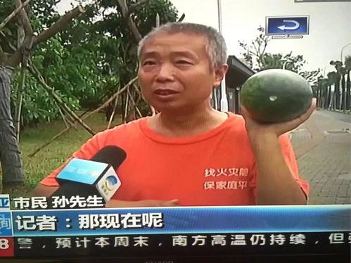 网络热点吃瓜群众,吃瓜群众的狂欢盛宴