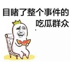 吃瓜群众吴小姐小说,揭秘娱乐圈背后的秘密
