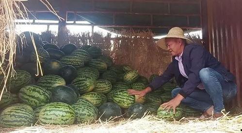 娄底吃瓜群众事件最新进展,真相大白，疑云散去